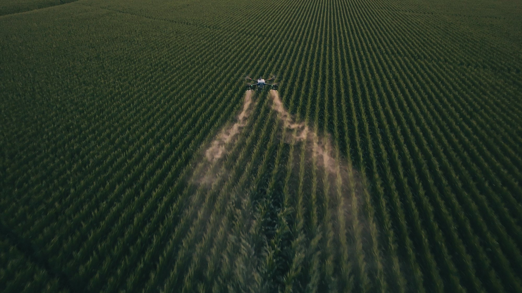 Still 2025-07-09 091512_1.55.2 (1) (3)